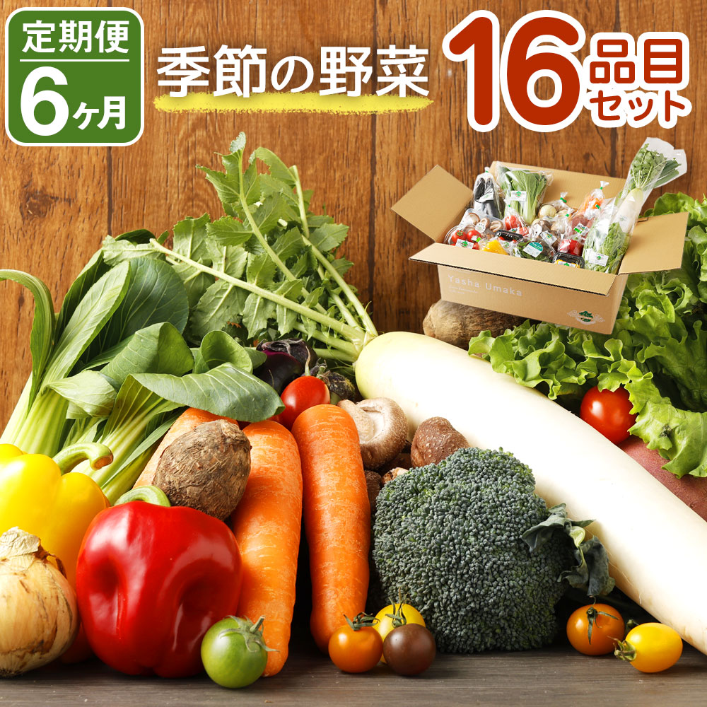 【定期便6回】 季節の野菜 16品目 セット 定期便 6ヶ月連続 56000円 5万6000円 野菜 やさい 詰め合わせ 旬の野菜 ランダム おまかせ 冷蔵 国産 春 旬 春野菜 野菜セット 定期 旬野菜 送料無料
