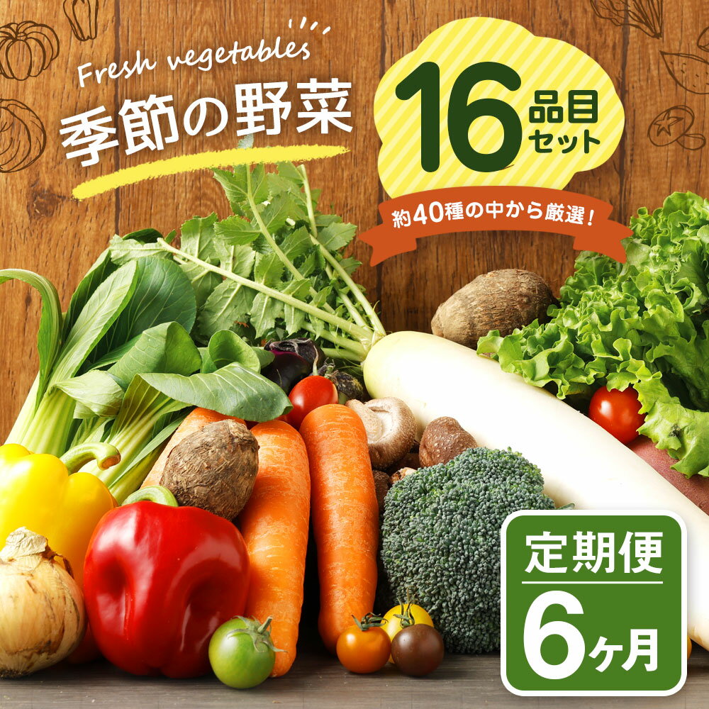 【ふるさと納税】【定期便6回】 季節の野菜 16品目 セット 定期便 6ヶ月連続 56000円 5万6000円 野菜 やさい 詰め合わせ 旬の野菜 ランダム おまかせ 冷蔵 国産 春 旬 春野菜 野菜セット 定期 旬野菜 送料無料 - 画像2