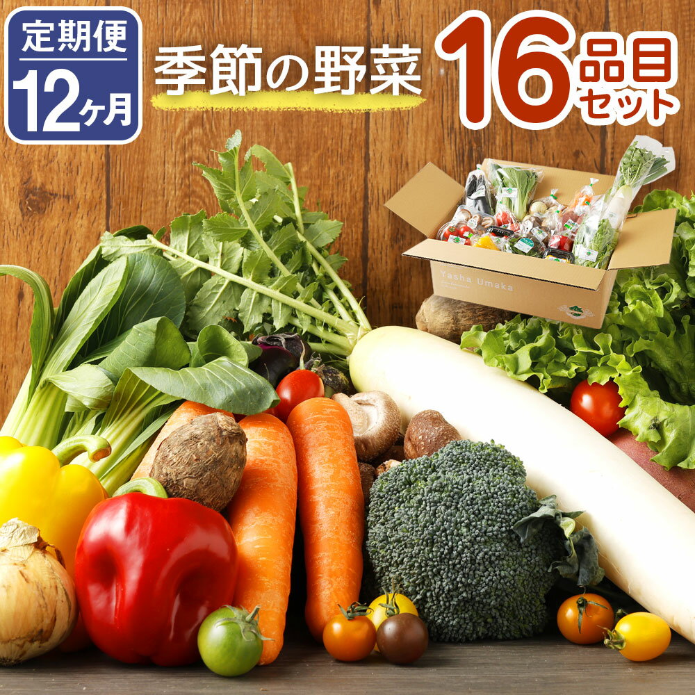 【定期便12回】 季節の野菜 16品目 セット 定期便 12ヶ月連続 112000円 11万2000円 野菜 やさい 詰め合わせ 旬の野菜 野菜セット 定期 ランダム おまかせ 冷蔵 国産 春 旬 春野菜 送料無料