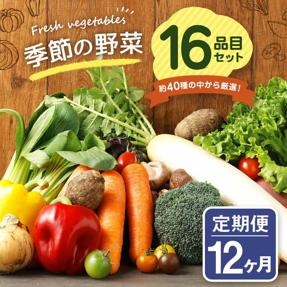 【ふるさと納税】【定期便12回】 季節の野菜 16品目 セット 定期便 12ヶ月連続 112000円 11万2000円 野菜 やさい 詰め合わせ 旬の野菜 野菜セット 定期 ランダム おまかせ 冷蔵 国産 春 旬 春野菜 送料無料 - 画像2