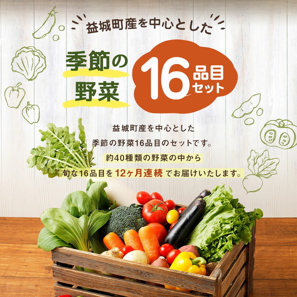 【ふるさと納税】【定期便12回】 季節の野菜 16品目 セット 定期便 12ヶ月連続 112000円 11万2000円 野菜 やさい 詰め合わせ 旬の野菜 野菜セット 定期 ランダム おまかせ 冷蔵 国産 春 旬 春野菜 送料無料 - 画像3