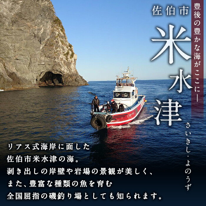 【ふるさと納税】功明丸磯釣り（瀬渡し船）こうめいまる 瀬渡し 送迎券釣り せわたし アウトドア レジャー つり 魚 イカ 磯釣り 大分県 佐伯市【AZ62】【功明丸】 サムネイル2