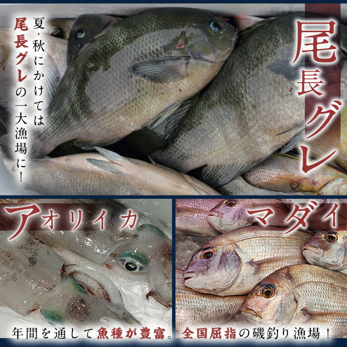 【ふるさと納税】功明丸磯釣り（瀬渡し船）こうめいまる 瀬渡し 送迎券釣り せわたし アウトドア レジャー つり 魚 イカ 磯釣り 大分県 佐伯市【AZ62】【功明丸】 サムネイル3