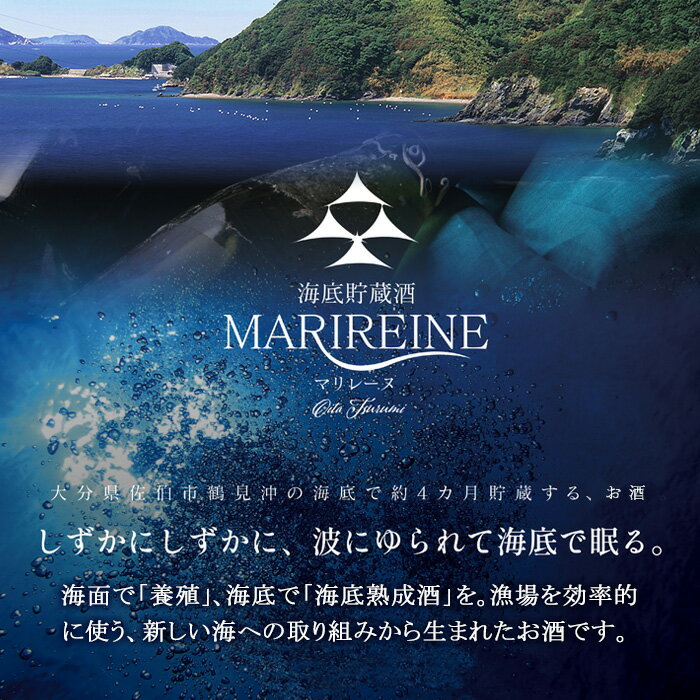 【ふるさと納税】海底貯蔵ワイン 赤 MARIREINE マスカットベリーA sagittarius2022(720ml・1本)久住ワイナリー ワイン 赤ワイン 酒 パーティー マリレーヌ 海底酒 熟成 大分県 佐伯市【FP021】【フルタ酒店】 サムネイル2