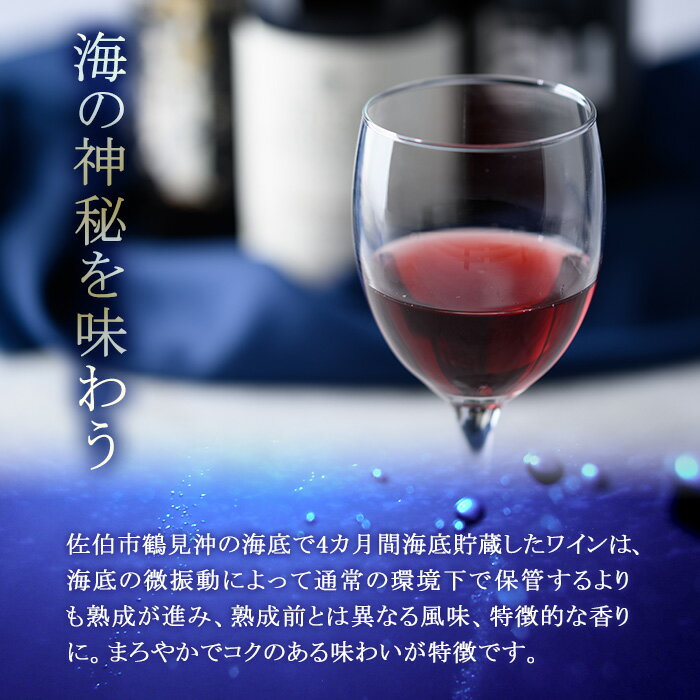 【ふるさと納税】海底貯蔵ワイン 赤 MARIREINE マスカットベリーA sagittarius2022(720ml・1本)久住ワイナリー ワイン 赤ワイン 酒 パーティー マリレーヌ 海底酒 熟成 大分県 佐伯市【FP021】【フルタ酒店】 サムネイル3