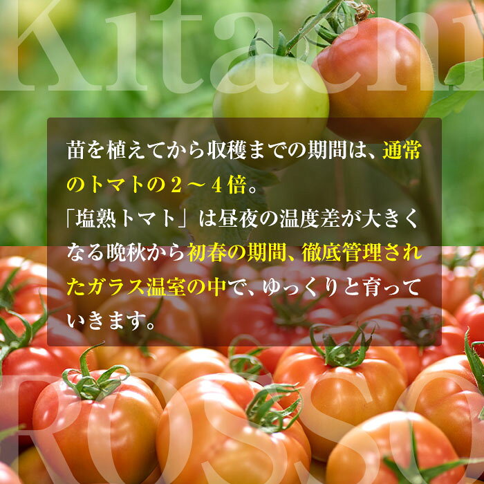 【ふるさと納税】＜先行予約受付中！2026年4月より順次発送予定＞塩熟トマト KitachiRosso (計1kg) 糖度10度以上 塩トマト 塩とまと とまと トマト 野菜 大分県 佐伯市 九州産 国産 お取り寄せ 大分県 佐伯市【AK7d】【げんきファーム】 - 画像3
