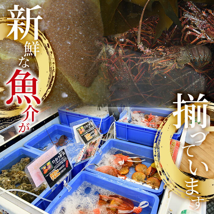 【ふるさと納税】＜内容量が選べる＞天然 トコブシ (約400g・約900g) 鮮魚 魚介 貝 トコブシ とこぶし 酒蒸し 網焼き バター焼き バーベキュー 獲れたて 冷蔵 海の直売所 大分県 佐伯市 魚貝 殻付【AS107・AS82】【海べ 】 サムネイル3