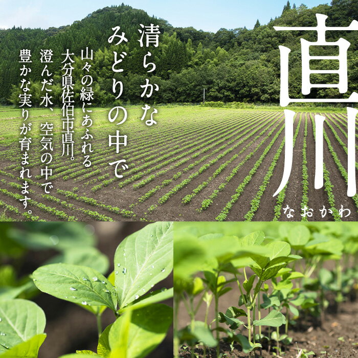 【ふるさと納税】合わせ味噌 高石みそ (合計4kg・1kg×4個) みそ ミソ あわせ味噌 味噌汁 おみそ 調味料 大豆 大分県 佐伯市【BL61】【(株)弥生】 サムネイル2