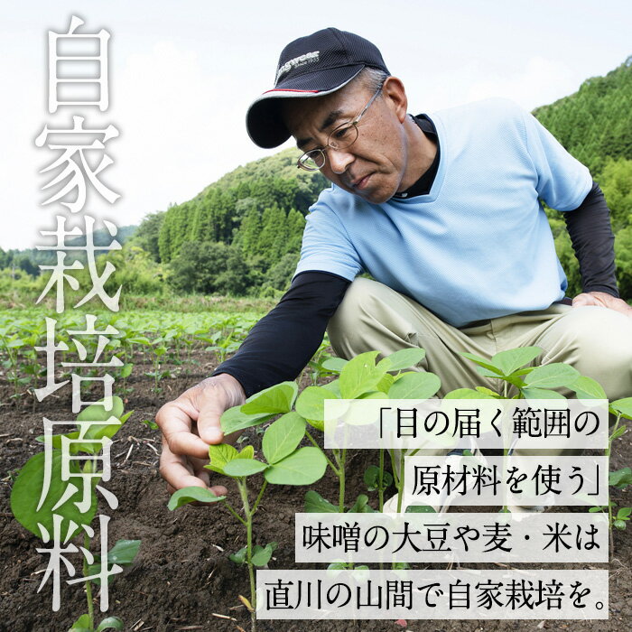 【ふるさと納税】合わせ味噌 高石みそ (合計4kg・1kg×4個) みそ ミソ あわせ味噌 味噌汁 おみそ 調味料 大豆 大分県 佐伯市【BL61】【(株)弥生】 サムネイル3