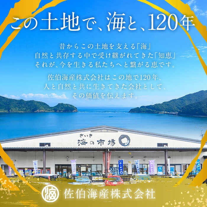 【ふるさと納税】老舗海産物問屋 選りすぐり 佃煮 出汁 セット (2種) いりこ かつおぶし ダシ 味噌汁 煮物 隠し味 おつまみ おやつ セット 詰合せ 大分県 佐伯市【BQ85】【佐伯海産(株)】 サムネイル2