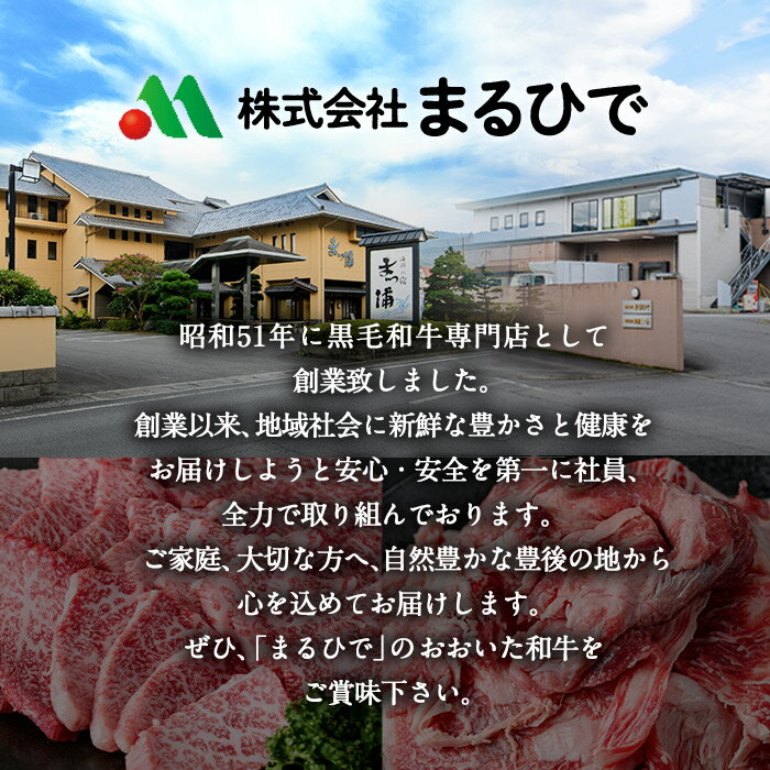 【ふるさと納税】＼高評価★満足度95％以上／ おおいた 味力 ソーセージセット(総量1.14kg～6.84kg) 内容量・お届け回数が選べる！ ウィンナー ベーコン 定期便 国産 冷凍 豚肉 鳥肉 詰め合わせ 惣菜 おかず お弁当 粗挽き あらびき【DP68・DP69・DP79・DP80】【まるひで】 サムネイル3