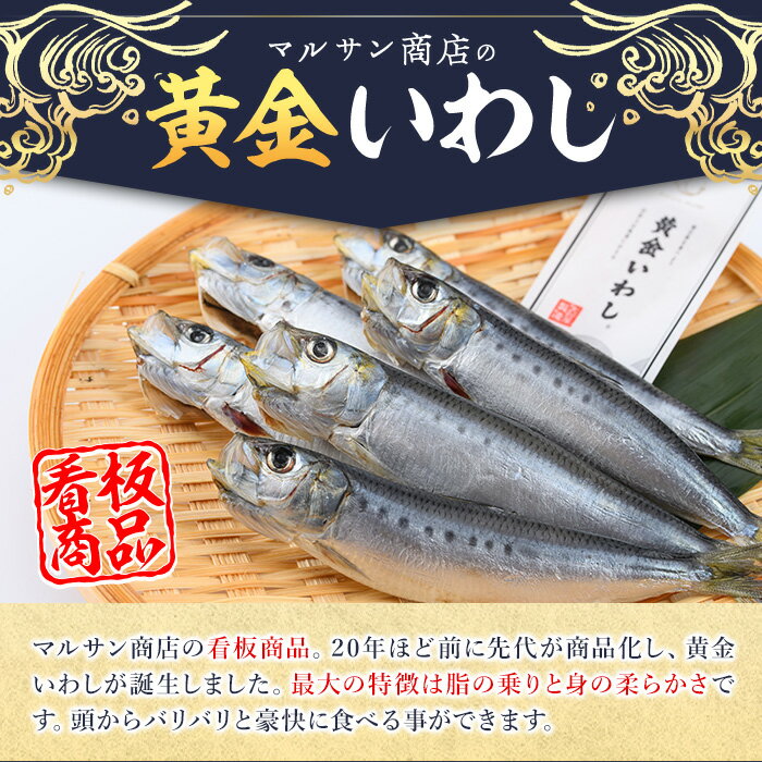 【ふるさと納税】＜訳あり＞佐伯市産真いわしと黄金いわし 食べ比べ (2種・60尾以上) 国産 大分県産 イワシ 黄金いわし 丸干し 魚 海鮮 冷凍 おつまみ 小分け【GX003】【(有)マルサン商店】 - 画像3