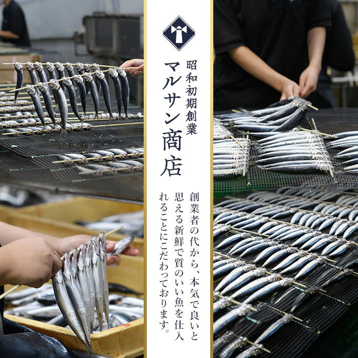 【ふるさと納税】＜訳あり＞佐伯市産真いわしと黄金いわし 食べ比べ (2種・60尾以上) 国産 大分県産 イワシ 黄金いわし 丸干し 魚 海鮮 冷凍 おつまみ 小分け【GX003】【(有)マルサン商店】 - 画像2