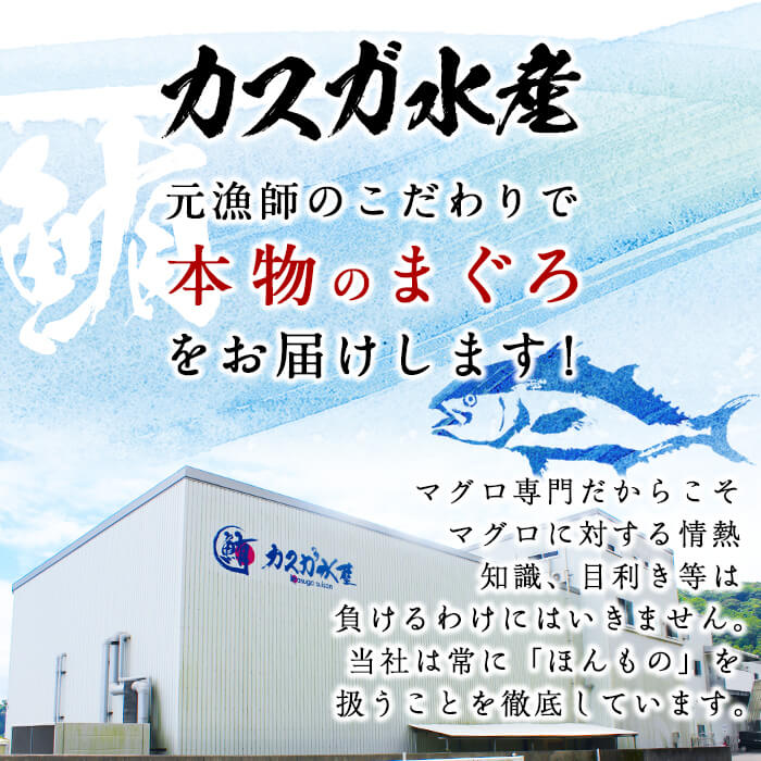 【ふるさと納税】 ＜内容量が選べる＞カスガ水産 ネギトロ(計320g・80g×4パック)または(計640g・80g×8パック) 魚 さかな マグロ まぐろ丼 ネギトロ丼 どんぶり 丼ぶり 小分け 個包装 子供 ごはん おすすめ お取り寄せ グルメ 大分県 佐伯市【DH184・DH207】【(株)ネクサ】 サムネイル2