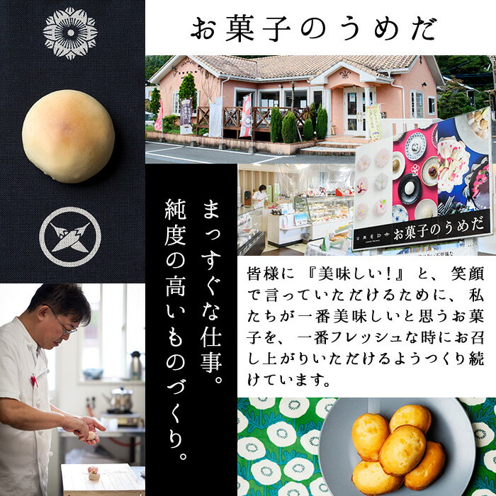 【ふるさと納税】レモンケーキ マリンレモン (計15個) レモン 檸檬 れもん 特産品 ケーキ スイーツ お菓子 おやつ 焼き菓子 洋菓子 お取り寄せ 個装 常温 大分県 佐伯市【AG115】【 (株)お菓子のウメダ】 - 画像2