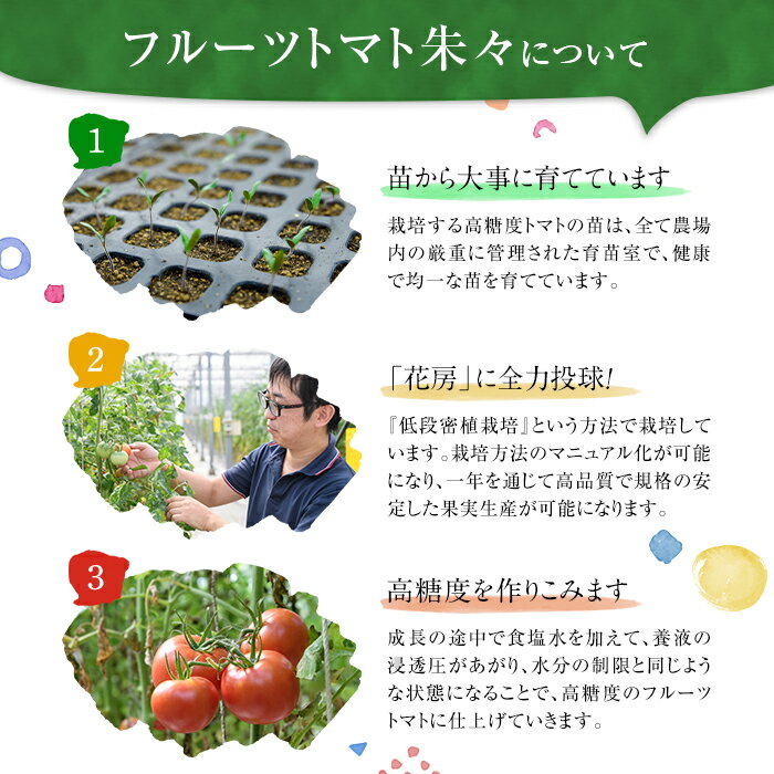 【ふるさと納税】フルーツトマト 朱々 Mサイズ (計1kg・16-18玉) M 高糖度 糖度 フルーツトマト トマト 野菜 サラダ 大分県 佐伯市 九州産 国産 大分県 佐伯市【CH63】【サニープレイス】 - 画像3