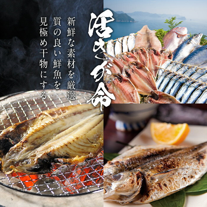 【ふるさと納税】名物 佐伯ごまだし (計600g・120g×5本) 調味料 ごまだしうどん お茶漬け パスタ だし 調味料 万能調味料 特産品 郷土料理 魚 セット 大分県 佐伯市【AP73】【 (株)ヤマジン】 サムネイル3