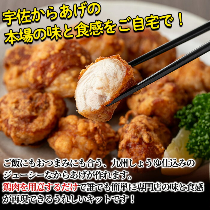 【ふるさと納税】うっかり八兵衛 宇佐からあげ漬け込みタレキット たっぷり鶏肉1.5kg分(合計495g・165g×3セット)唐揚げ から揚げ 漬け込みタレ 簡単 キット 本場の味【109200100】【ナルミ総合企画】 サムネイル3