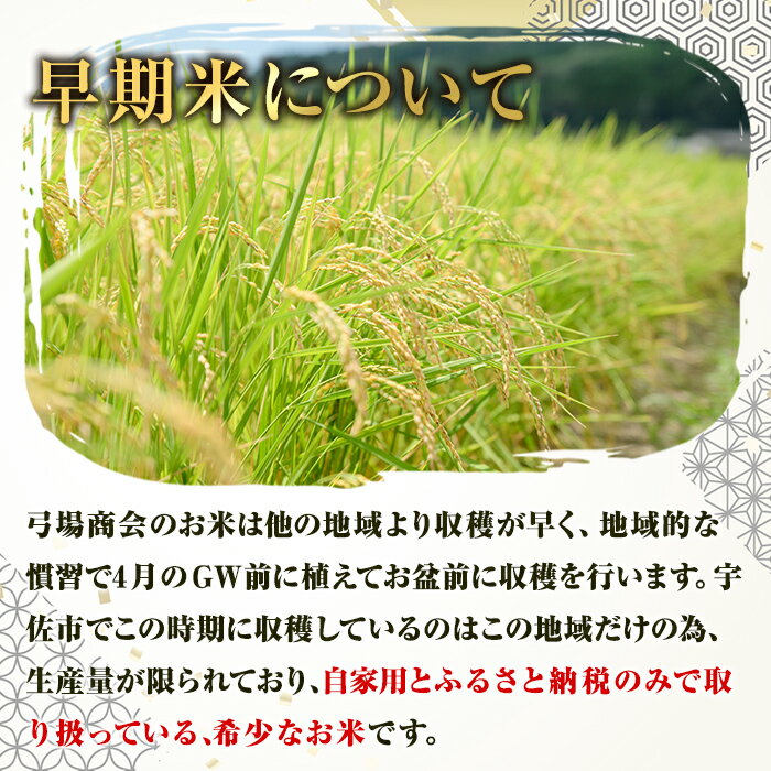【ふるさと納税】＜先行予約受付中！2026年8月下旬以降順次発送予定＞宇佐市院内産コシヒカリ(計10kg・5kg×2袋) 早期米 米 お米 真空パック白米 精米 国産 限定 ごはん ご飯 白飯 ゴハン【111000101】【弓場商会】 - 画像3