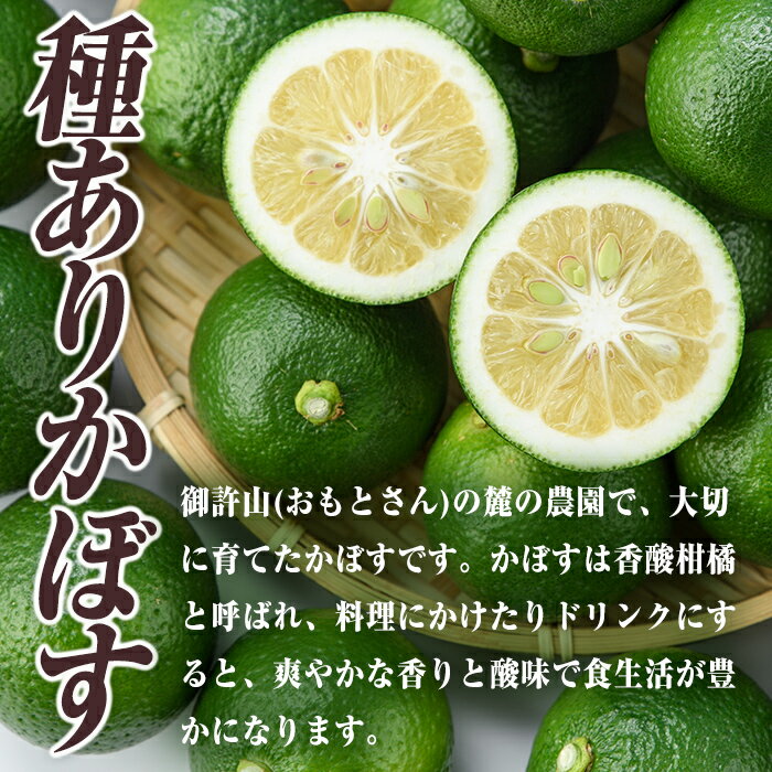 【ふるさと納税】＜容量を選べる！＞おもとの丘のかぼす (約2kg or 4kg) かんきつ 柑橘 期間限定【111300100・111300201】【未来農林】 サムネイル3