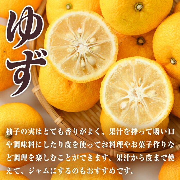 【ふるさと納税】＜先行予約受付中！2025年11月中旬から順次発送予定＞＜容量を選べる！＞ 柚子 (約1.8kg or 4kg) ゆず かんきつ 柑橘 期間限定 おもとの丘【111300601・111300701】【未来農林】 サムネイル3