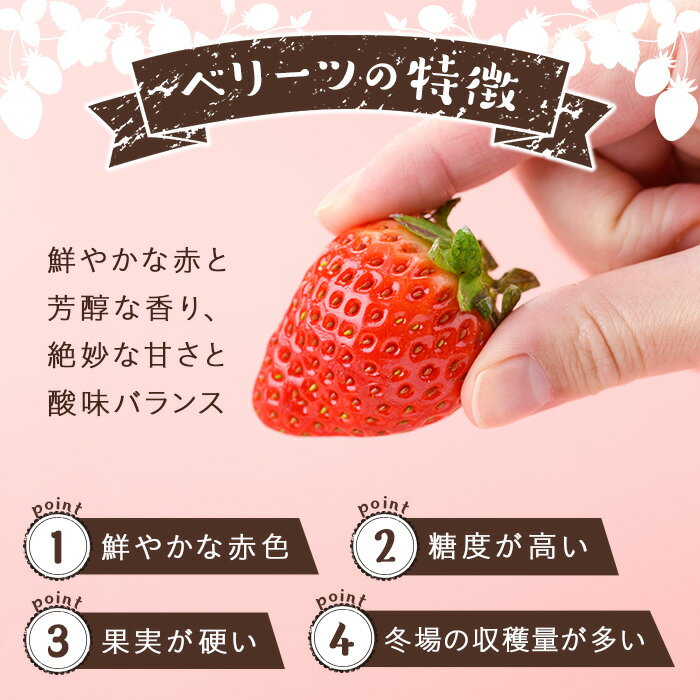 【ふるさと納税】＜先行予約受付中、2026年1月下旬～3月中旬に順次発送予定＞＜数量限定＞ベリーツ いちご (計約560g・280g×2パック) 苺 イチゴ フルーツ 果物 くだもの 果実 ベリーツ【115800300】【大分中央農産】 サムネイル3
