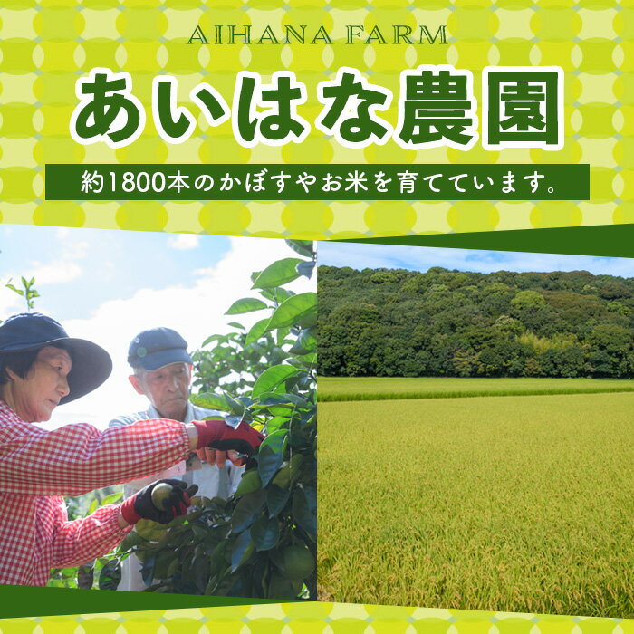 【ふるさと納税】＜内容量が選べる＞＜先行予約受付中！2025年8月上旬〜2026年2月下旬ごろ順次発送予定＞露地カボス(約2〜14kg) かぼす カボス 柑橘 特産品 大分県産【107100101】【あいはな農園】 サムネイル2