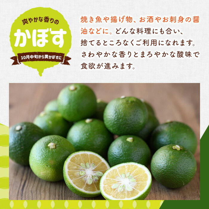 【ふるさと納税】＜内容量が選べる＞＜先行予約受付中！2025年8月上旬〜2026年2月下旬ごろ順次発送予定＞露地カボス(約2〜14kg) かぼす カボス 柑橘 特産品 大分県産【107100101】【あいはな農園】 サムネイル3