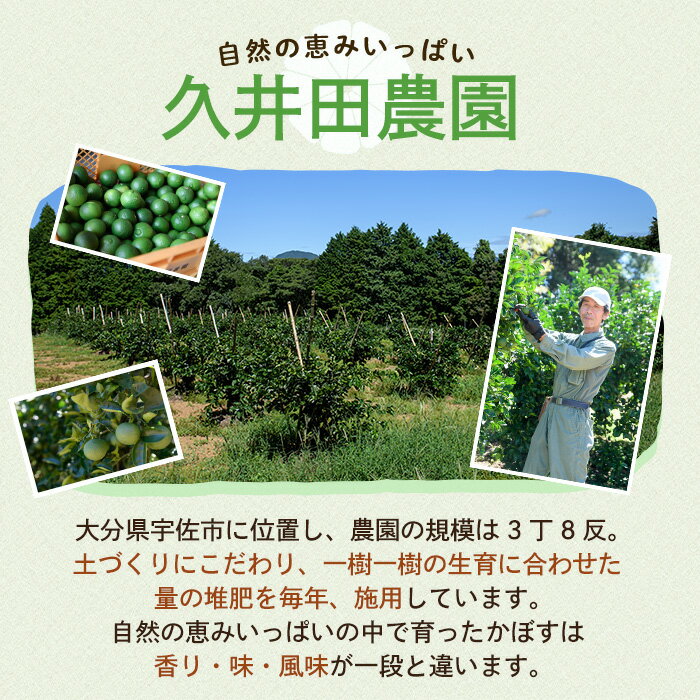 【ふるさと納税】＜内容量が選べる！＞かぼす(5kg〜20kg)柑橘 かんきつ 大分県産直【112600100・112600200・112600300・112600400】【andK】 サムネイル2