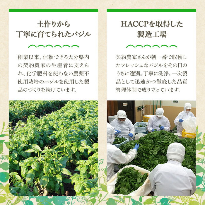 【ふるさと納税】ファインド・ニューズ＜バジル&マスタード＞スペシャルセレクトセット(合計240g・4種)調味料 ソース バジル マスタード バーニャカウダ セット【109300100】【ファインド・ニューズ】 サムネイル3