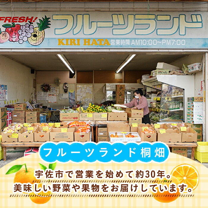 【ふるさと納税】＜先行予約受付中！11月中旬より順次発送予定＞吉沢みかん(約10kg)みかん ミカン 蜜柑 柑橘 フルーツ 果物 くだもの 果実【108600101】【フルーツランド桐畑】 サムネイル2