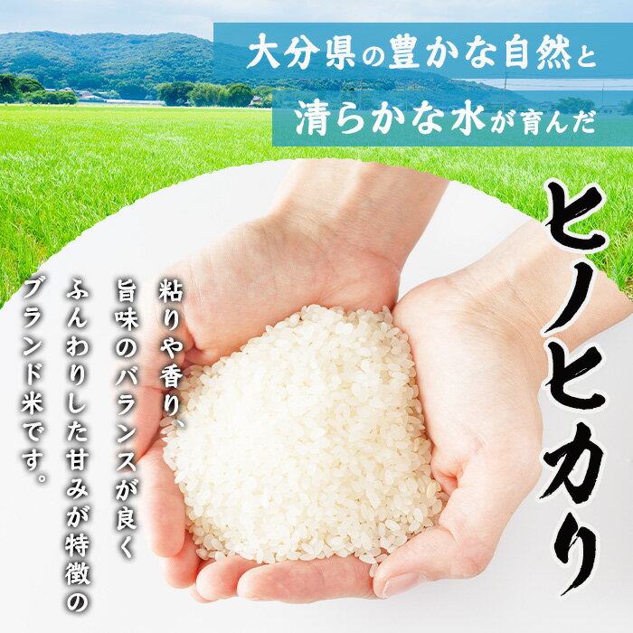 【ふるさと納税】＜容量が選べる！＞ ヒノヒカリ 白米 (計5kg or 10kg) お米 ごはん ご飯 ひのひかり 数量限定 【117800101・117800201】【ジョイライス大分】 - 画像2