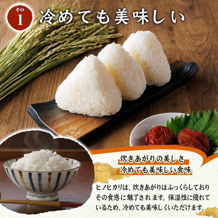 【ふるさと納税】＜容量が選べる！＞ ヒノヒカリ 白米 (計5kg or 10kg) お米 ごはん ご飯 ひのひかり 数量限定 【117800101・117800201】【ジョイライス大分】 - 画像3