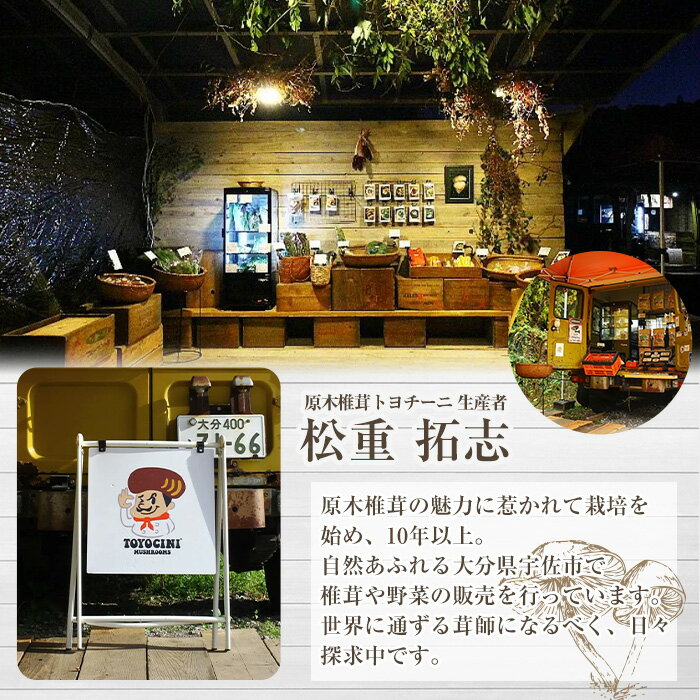 【ふるさと納税】＜味を選べる！＞トヨチーニペースト(1個 or 2個) 椎茸 しいたけ シイタケ バジル 調味料 ディップソース バゲット パスタソース 【110300501・110300601・110300701】【松重　拓志】 サムネイル2
