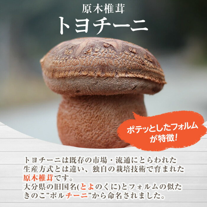 【ふるさと納税】＜味を選べる！＞トヨチーニペースト(1個 or 2個) 椎茸 しいたけ シイタケ バジル 調味料 ディップソース バゲット パスタソース 【110300501・110300601・110300701】【松重　拓志】 サムネイル3