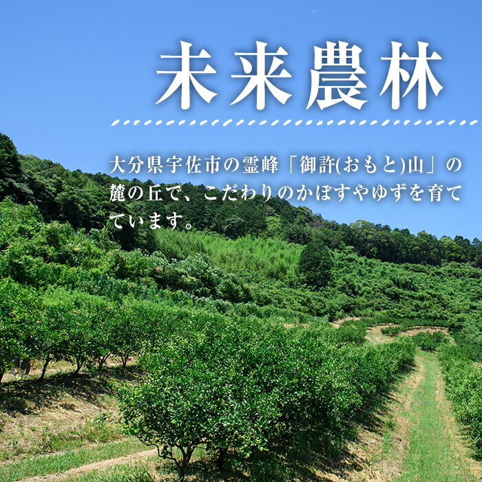 【ふるさと納税】＜容量を選べる！＞おもとの丘のかぼす (約2kg or 4kg) かんきつ 柑橘 期間限定【111300100・111300201】【未来農林】 サムネイル2