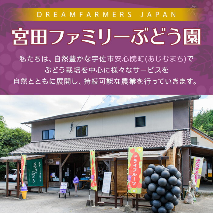 【ふるさと納税】CHOTO MITASU みかんセット(計100g・10g×10袋)ドライフルーツ みかん ミカン 果物 くだもの フルーツ 乾燥 小分け セット【100701700】【宮田ファミリーぶどう園】 サムネイル2