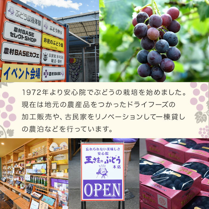 【ふるさと納税】CHOTO MITASU みかんセット(計100g・10g×10袋)ドライフルーツ みかん ミカン 果物 くだもの フルーツ 乾燥 小分け セット【100701700】【宮田ファミリーぶどう園】 サムネイル3
