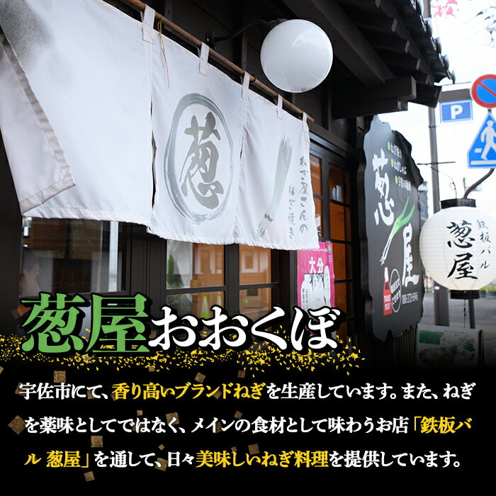 【ふるさと納税】＜内容量が選べる！＞鉄板バル葱屋の ねぎしゃぶセット(2〜4人前)ねぎしゃぶ しゃぶしゃぶ 豚肉 ぶた肉 ぶたにく お肉 鍋セット 乾麺 出汁 だし ポン酢 勝負めし 【110700500・110700800】【葱屋おおくぼ】 - 画像2