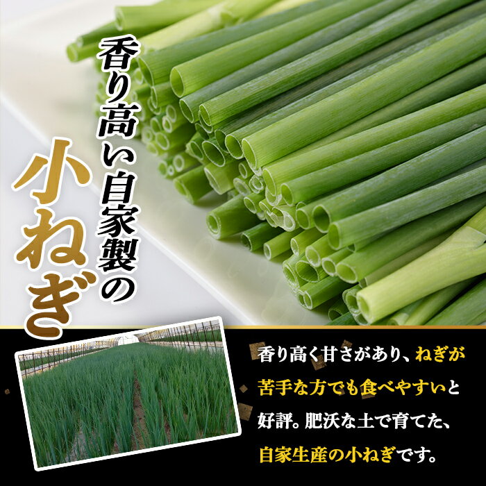 【ふるさと納税】＜内容量が選べる！＞鉄板バル葱屋の ねぎしゃぶセット(2〜4人前)ねぎしゃぶ しゃぶしゃぶ 豚肉 ぶた肉 ぶたにく お肉 鍋セット 乾麺 出汁 だし ポン酢 勝負めし 【110700500・110700800】【葱屋おおくぼ】 - 画像3