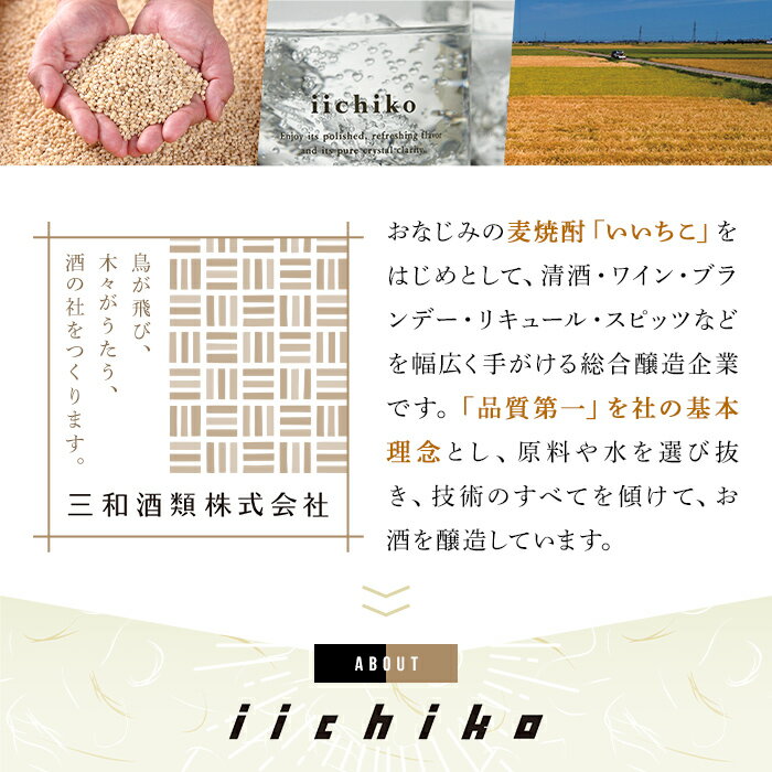 【ふるさと納税】いいちこ 25度 パック(計5.4L・1.8L×3本)酒 お酒 むぎ焼酎 1800ml 麦焼酎 常温 いいちこ 三和酒類 紙パック【106103901】【酒のひろた】 サムネイル2