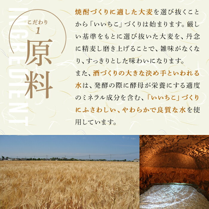 【ふるさと納税】いいちこ 25度 パック(計5.4L・1.8L×3本)酒 お酒 むぎ焼酎 1800ml 麦焼酎 常温 いいちこ 三和酒類 紙パック【106103901】【酒のひろた】 サムネイル3