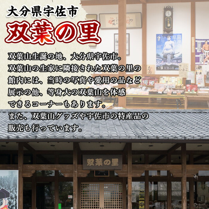 【ふるさと納税】双葉山トートバッグ・双葉紋(1点) バッグ トートバッグ デニム エコバッグ オリジナル グッズ ファッション 男女兼用【115601300】【SFPコンサルティング】 サムネイル2