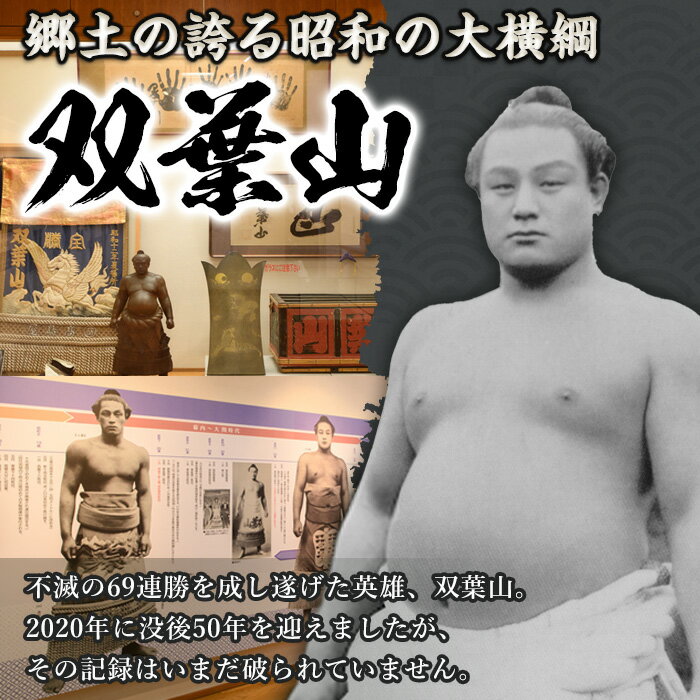 【ふるさと納税】双葉山トートバッグ・双葉紋(1点) バッグ トートバッグ デニム エコバッグ オリジナル グッズ ファッション 男女兼用【115601300】【SFPコンサルティング】 サムネイル3