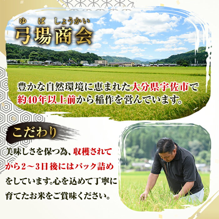 【ふるさと納税】＜先行予約受付中！2026年8月下旬以降順次発送予定＞宇佐市院内産コシヒカリ(計10kg・5kg×2袋) 早期米 米 お米 真空パック白米 精米 国産 限定 ごはん ご飯 白飯 ゴハン【111000101】【弓場商会】 - 画像2