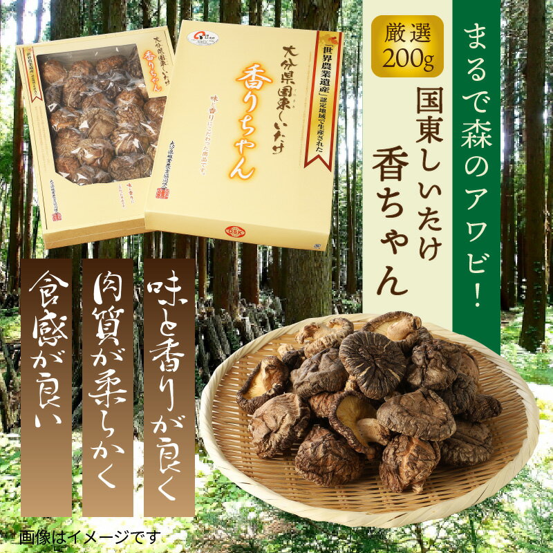 【ふるさと納税】まるで森のアワビ！国東しいたけ香ちゃん（厳選200g）・通 サムネイル2