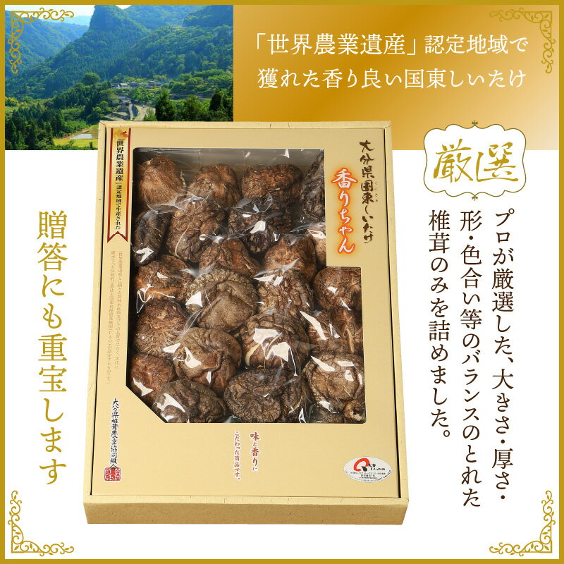 【ふるさと納税】まるで森のアワビ！国東しいたけ香ちゃん（厳選200g）・通 サムネイル3