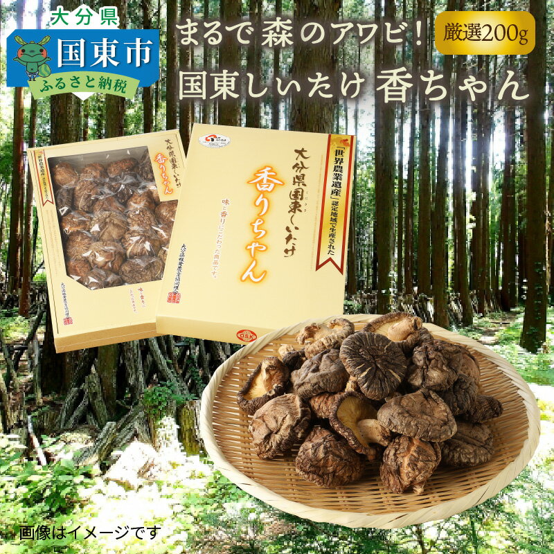 まるで森のアワビ！国東しいたけ香ちゃん（厳選200g）・通