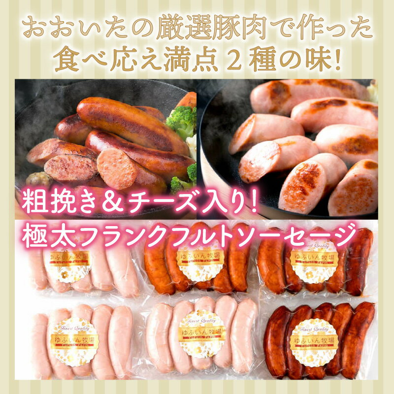【ふるさと納税】フランクフルト ソーセージ 粗挽き チーズ入り 食べ比べ セット 1.8kg 極太 1本 60g × 30本 小分け 使いやすい 大分県産 豚肉 国産 焼肉 バーベキュー キャンプ アウトドア パーティー 食べ応え お取り寄せ グルメ 送料無料 サムネイル2