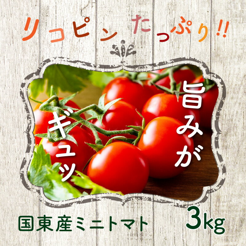 【ふるさと納税】リコピンたっぷり！国東産ミニトマト3kg_0260N サムネイル3